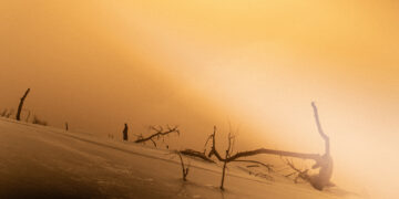 The Smallest Getaway