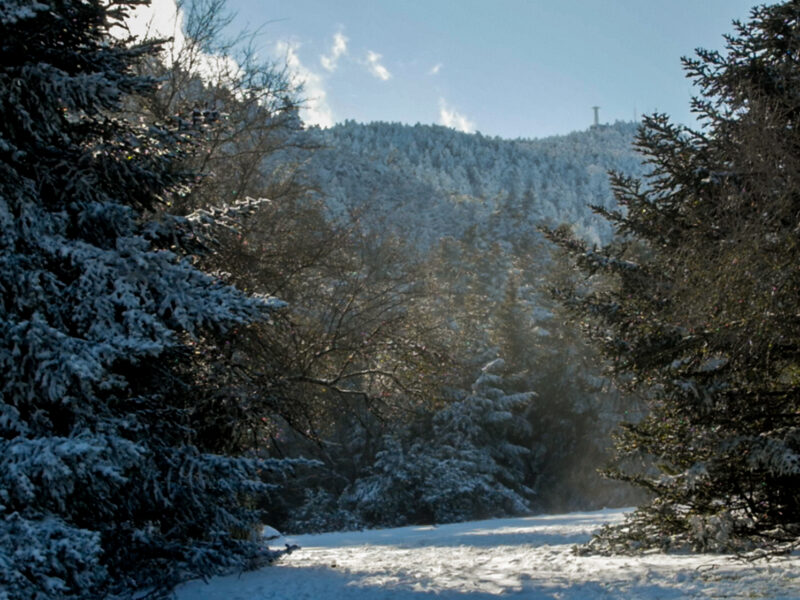 WE CALL IT HOME