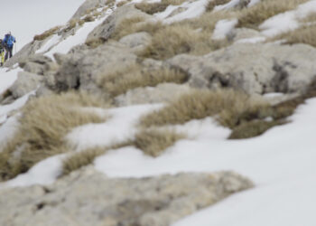 SPLIT JOURNALS VOL I – PARNASSOS